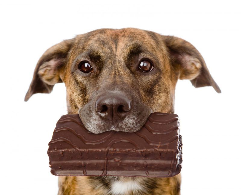 Chocolate