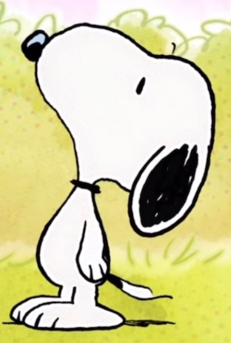 Snoopy's Original Name
