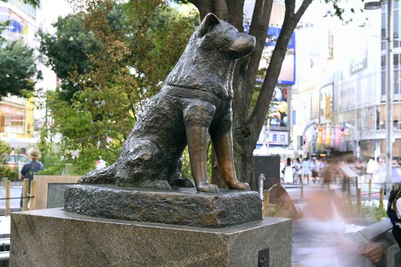 Hachiko
