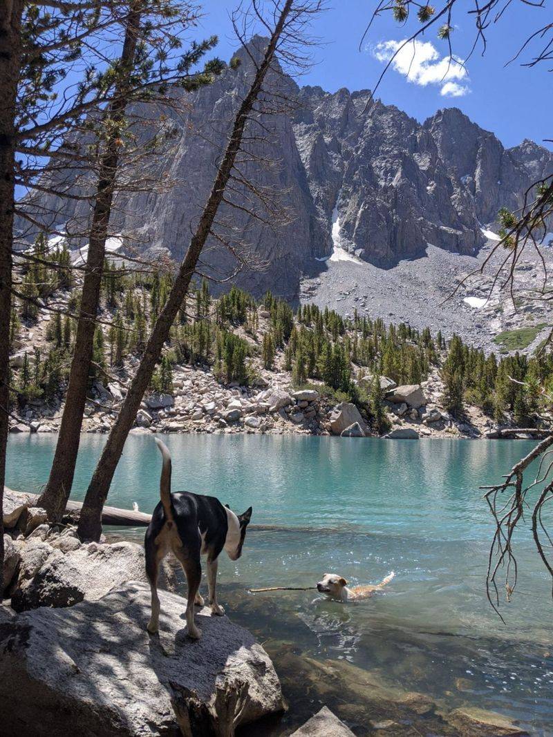 A Nature Escape