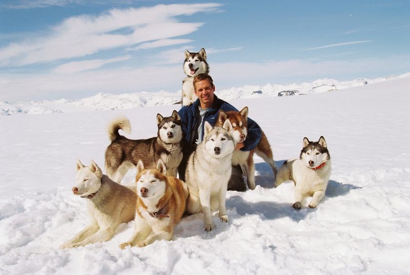 Eight Below