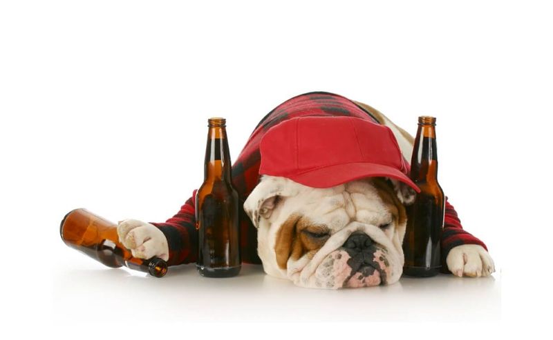 Alcohol