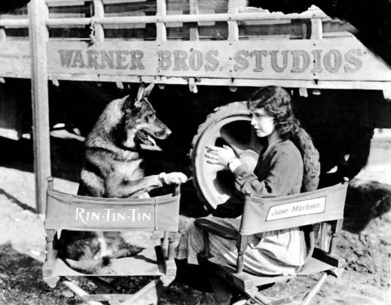 Rin Tin Tin