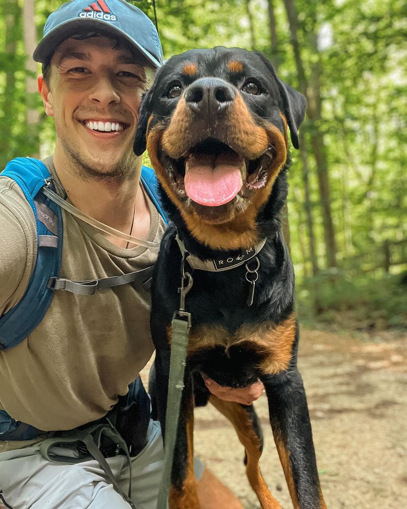 Rottweiler