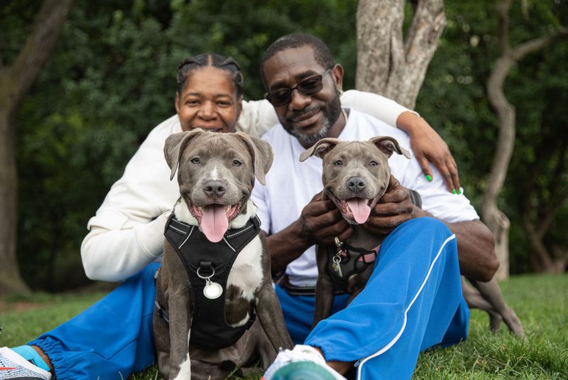 Adoption and Rescue Options