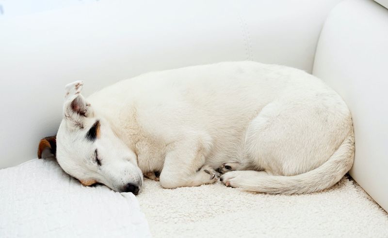 Lethargy and Fatigue