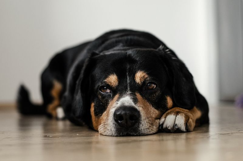 Lack of Energy