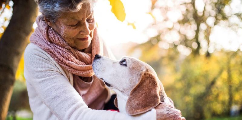 Unwavering Companionship