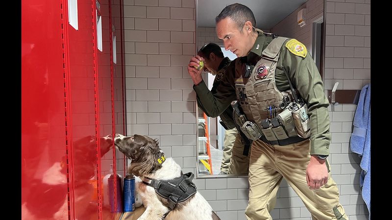 Narcotics Detection Dogs