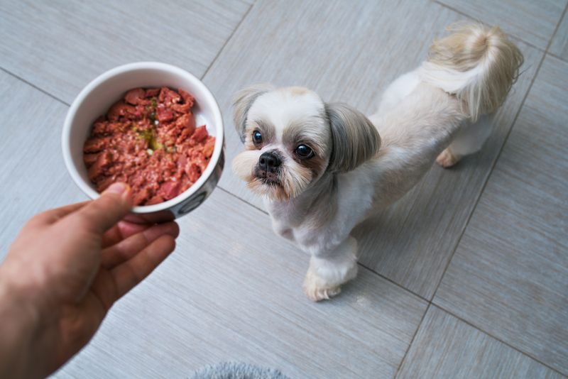 Diet and Nutrition