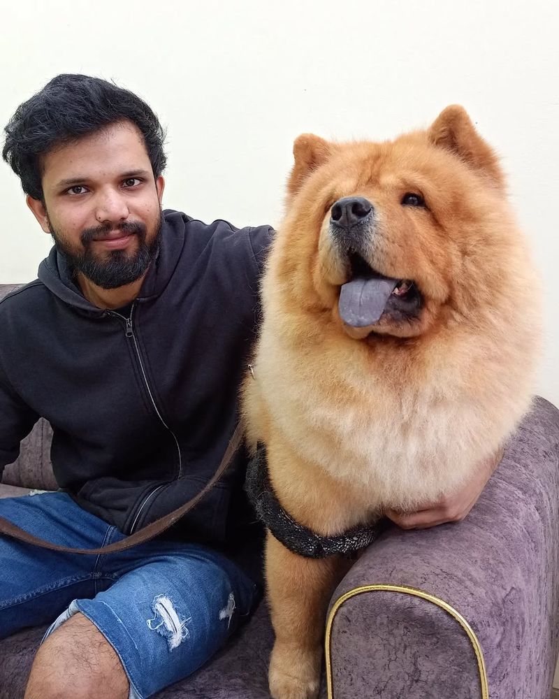 Chow Chow