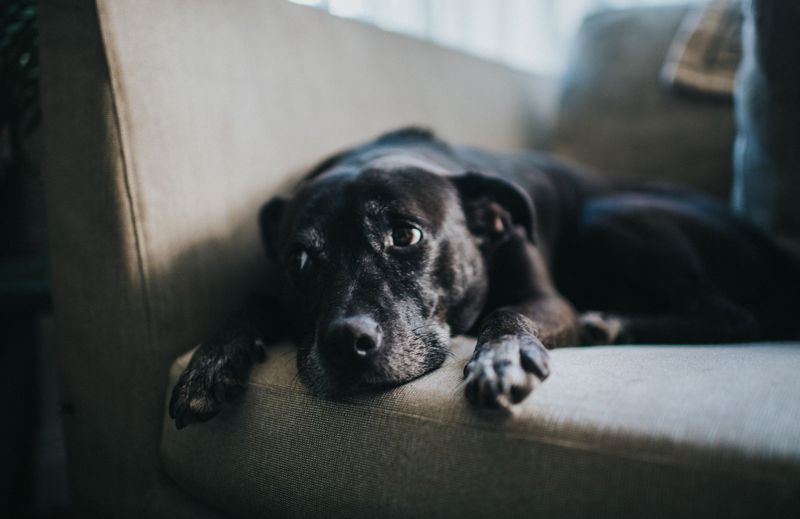 Changes in Grooming Habits