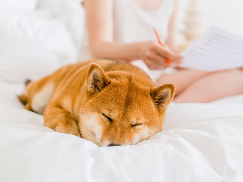 Changes in Sleeping Habits