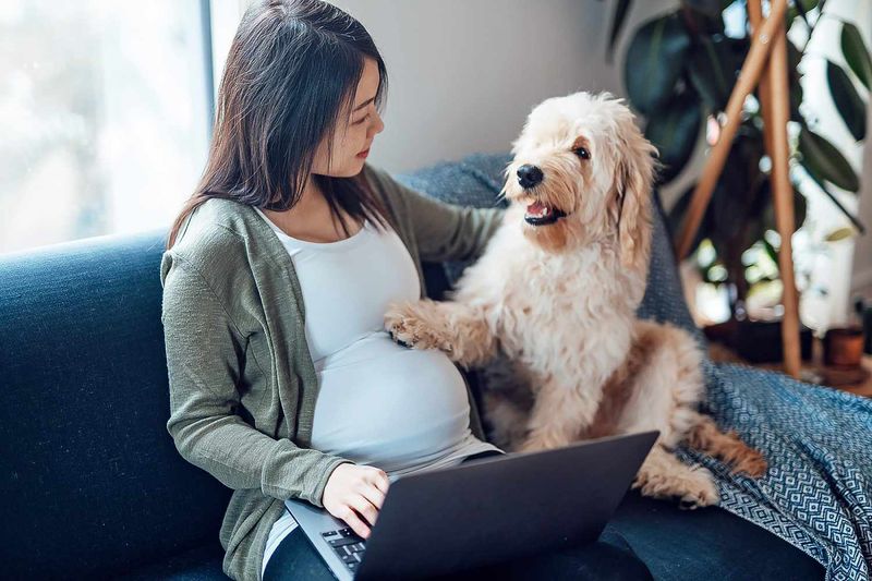 Pregnancy