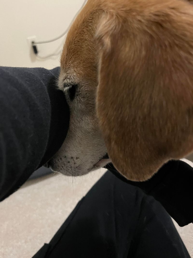 Nudging for Attention
