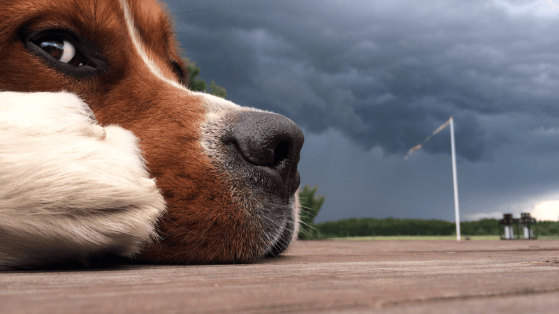 Storms