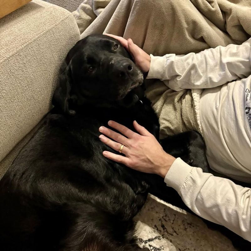 Comforting Presence