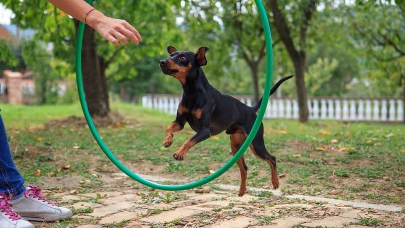 Engage in Playtime
