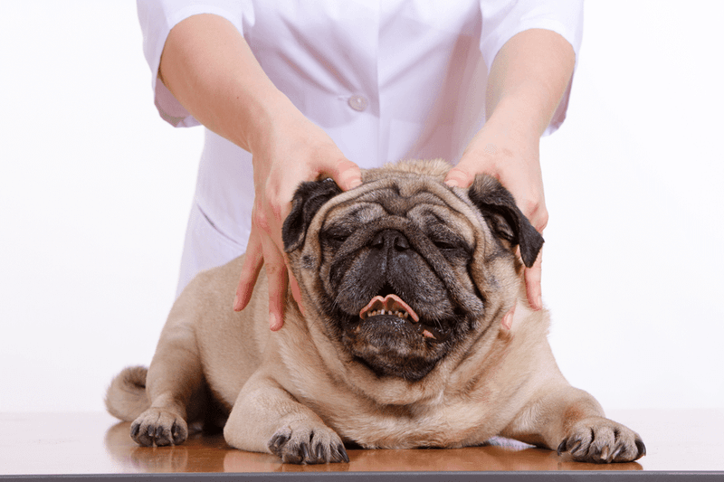Massage and Relaxation