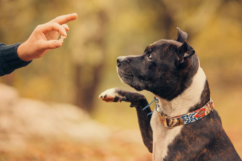 Use Positive Reinforcement