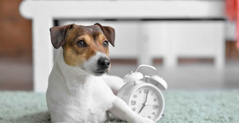 Use Time-Outs Effectively