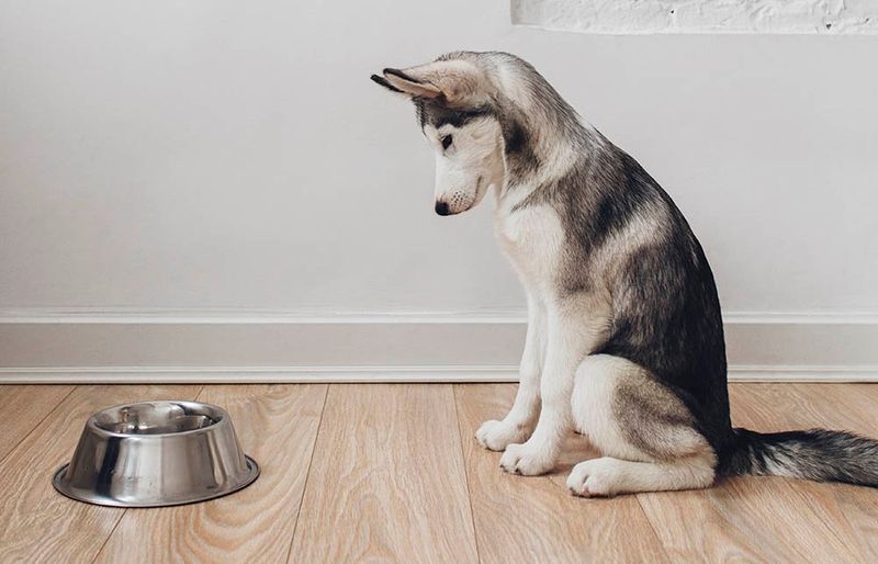 Changes in Appetite