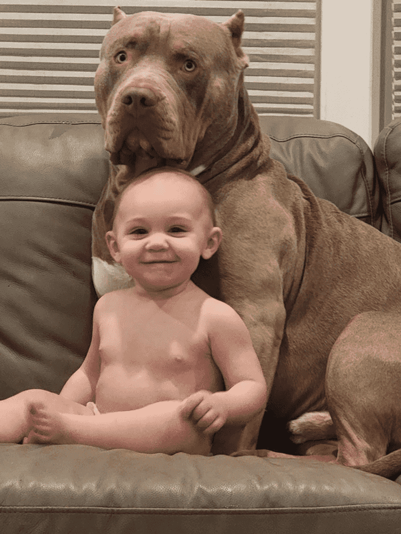 Gentle with Children
