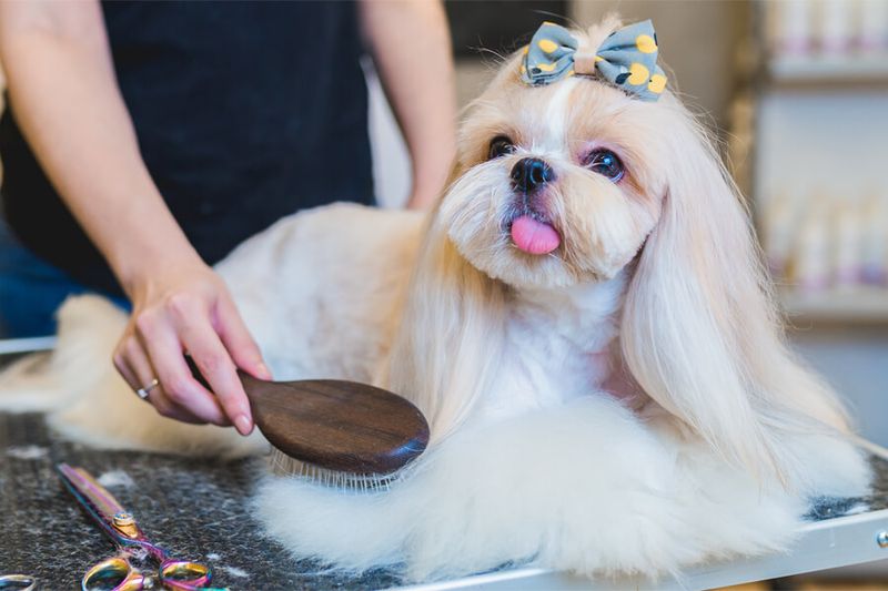 Grooming Requirements