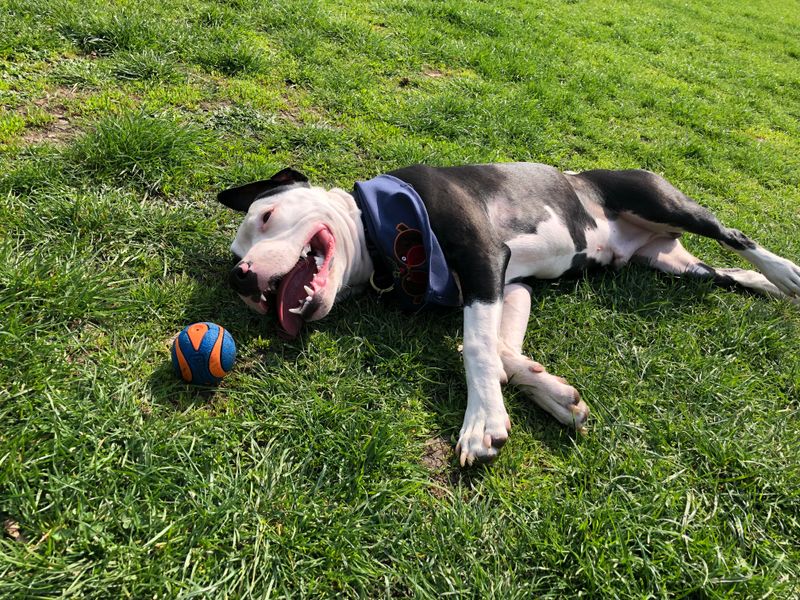 The Playful Athlete