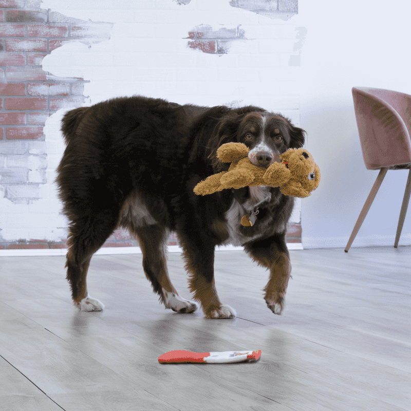 Offer a Comforting Toy