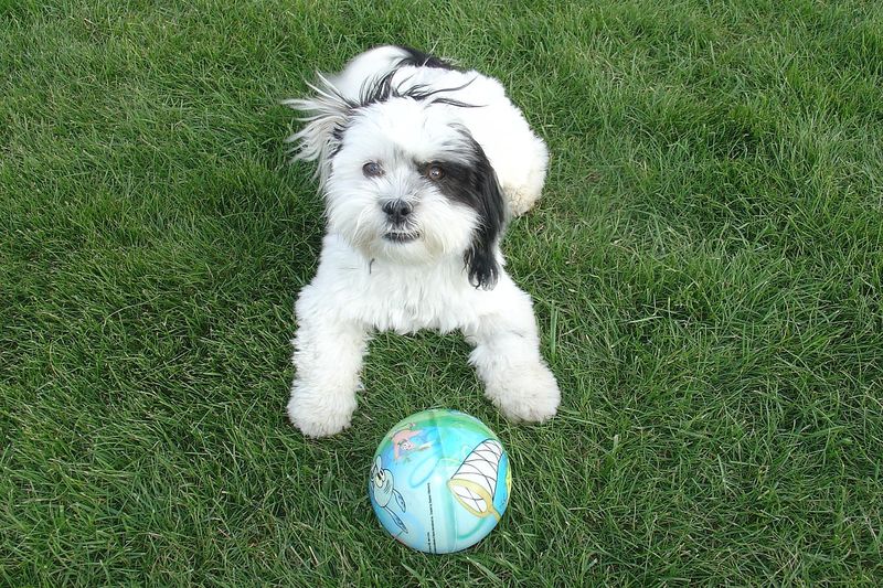 Playful and Entertaining