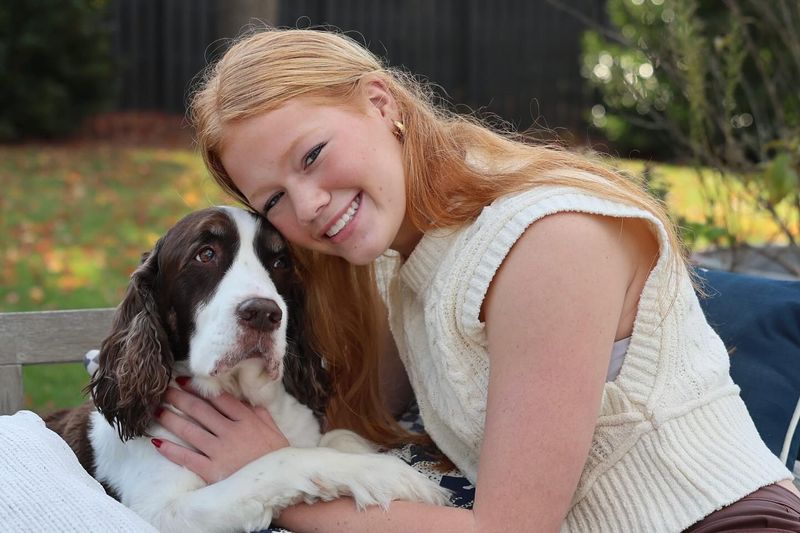 Cocker Spaniel