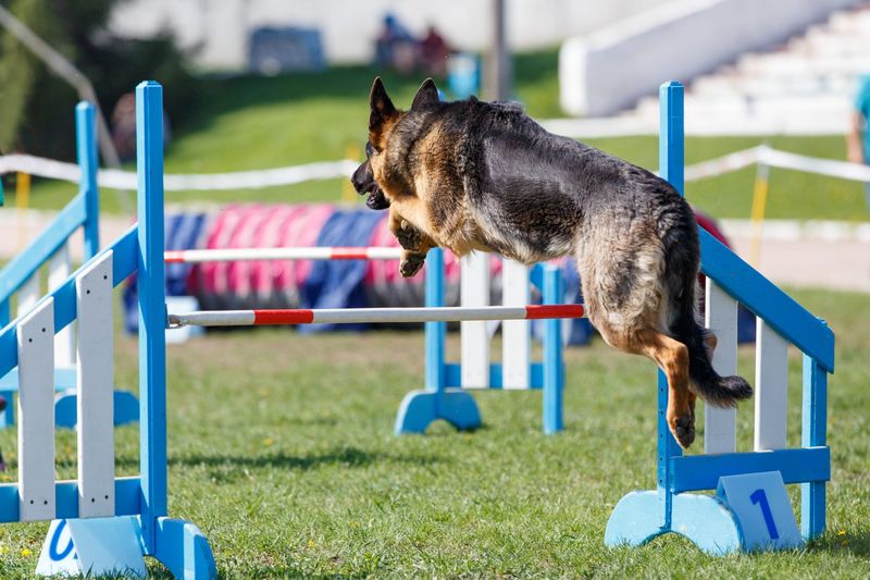 Athletic Ability
