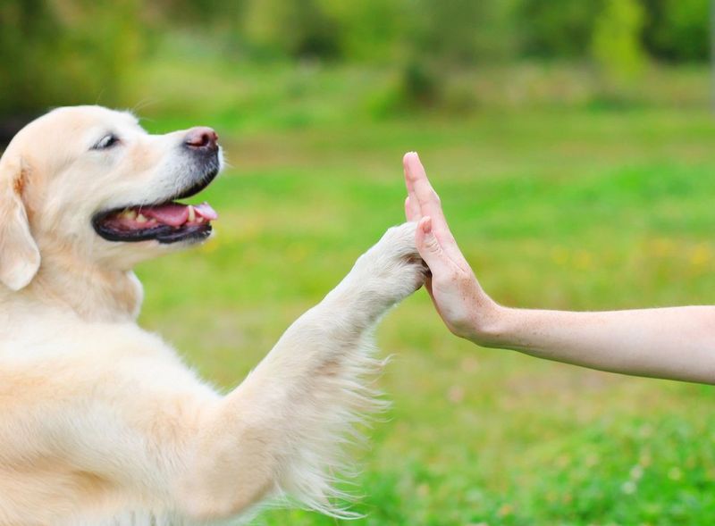 Responding to Body Language