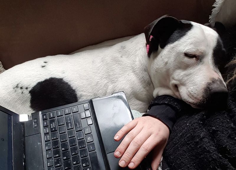 Technology and Anxiety Management