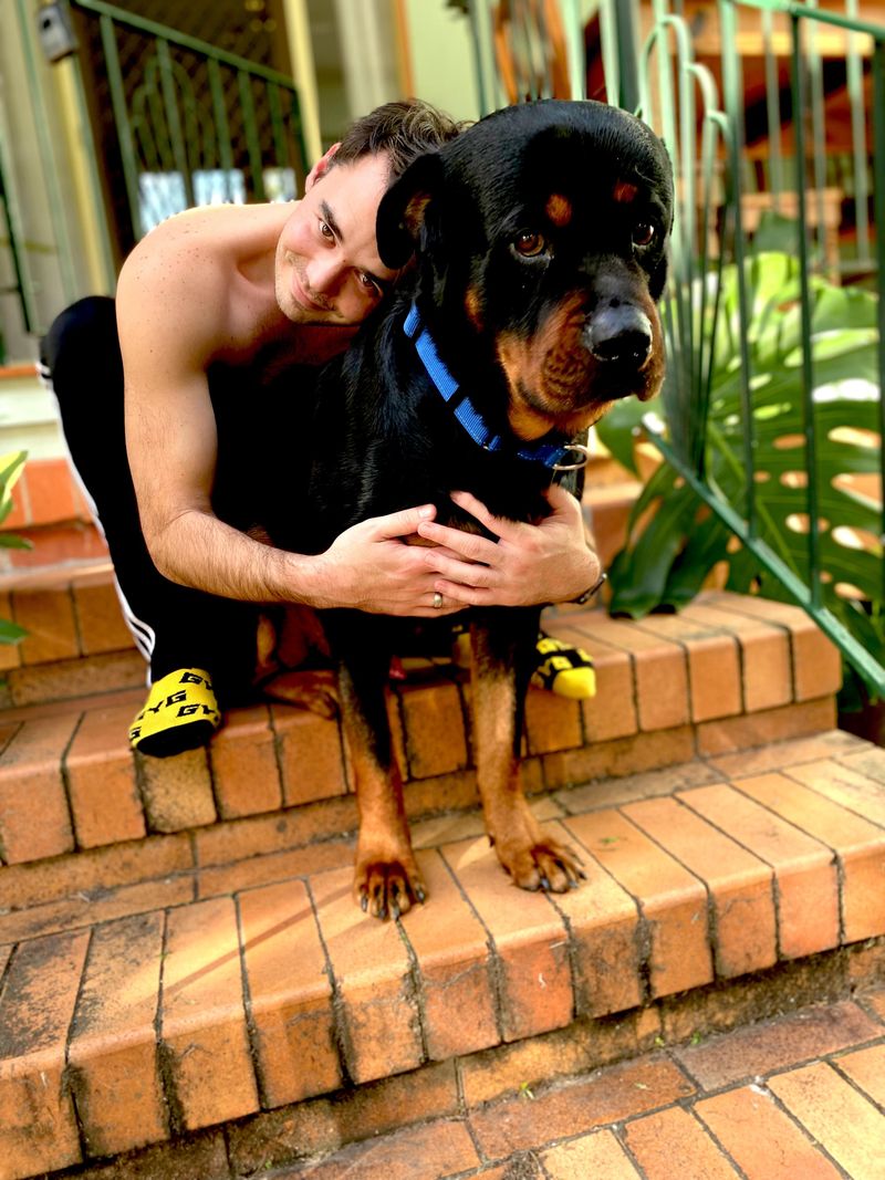 Loyal Companions