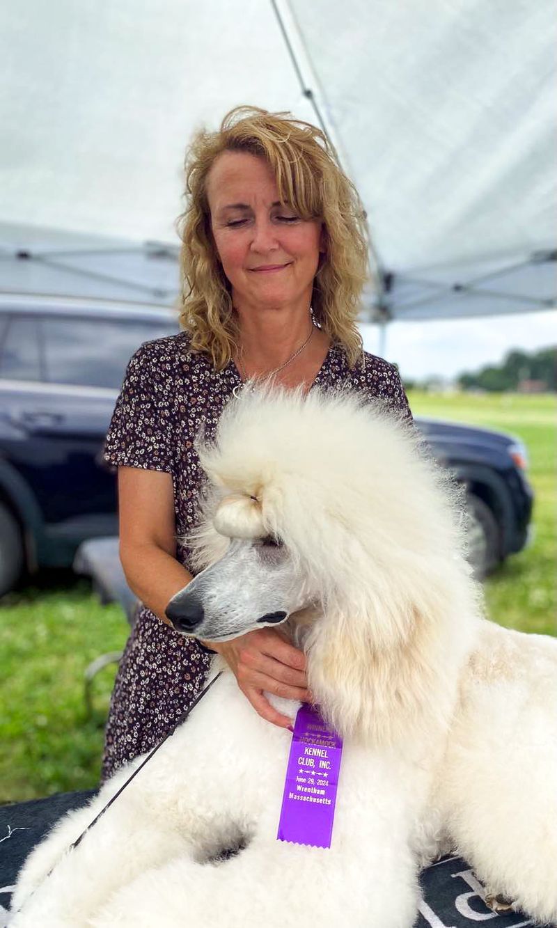 Poodle