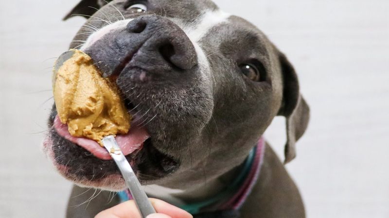 Peanut Butter