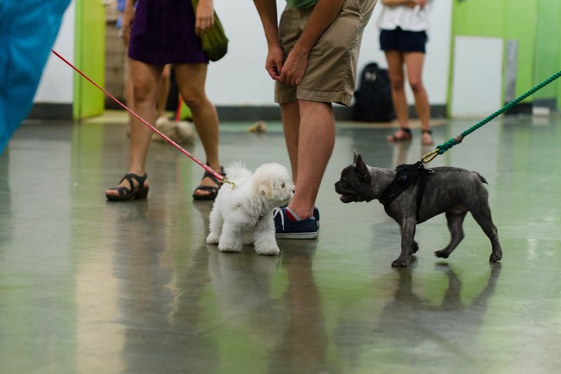 Socialization Classes
