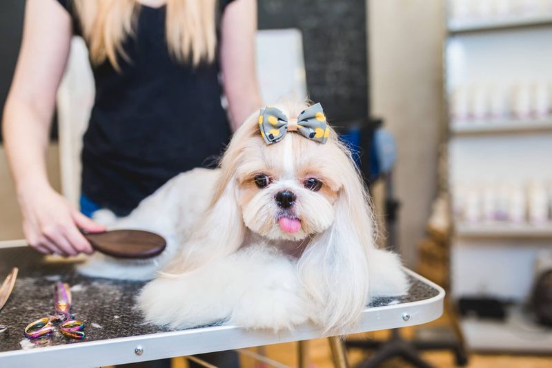 Grooming Brings Bonding Opportunities