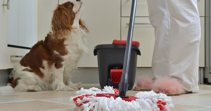 Cleaning Products