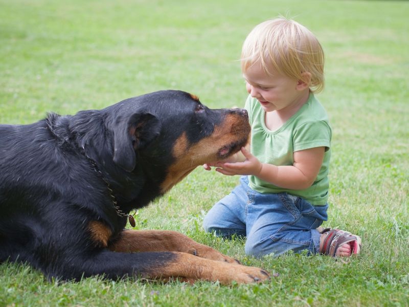 Great with Children