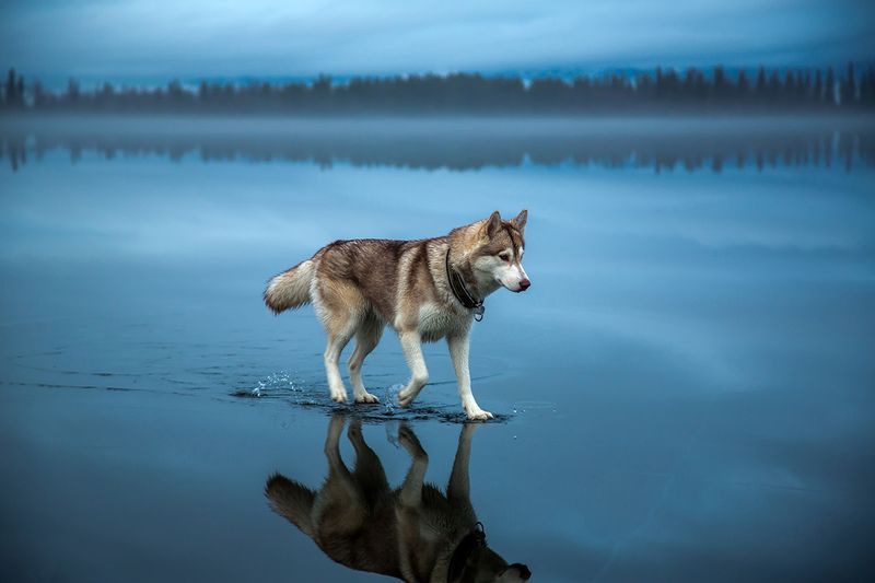 Utonagan