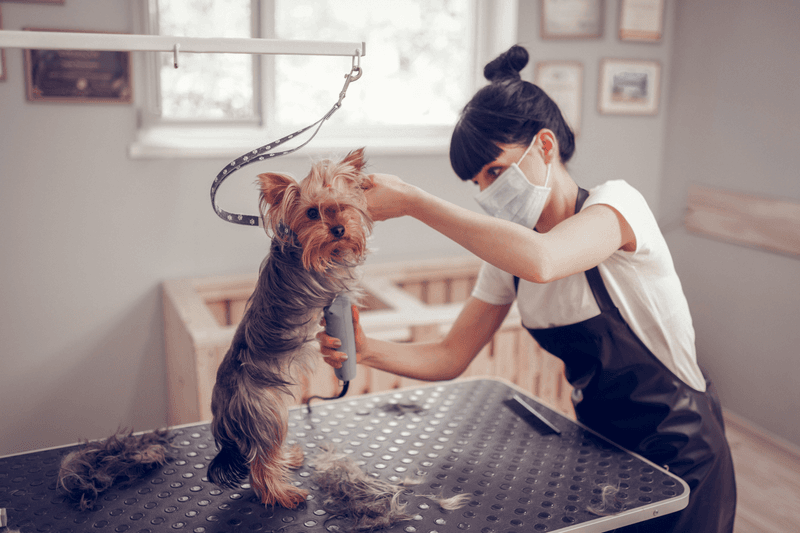 Changes in Grooming