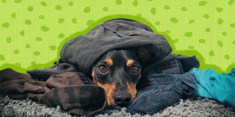 Snuggling with Your Clothes