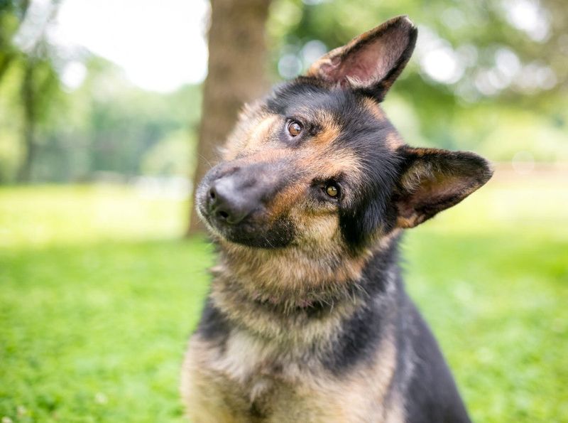 Head Tilting