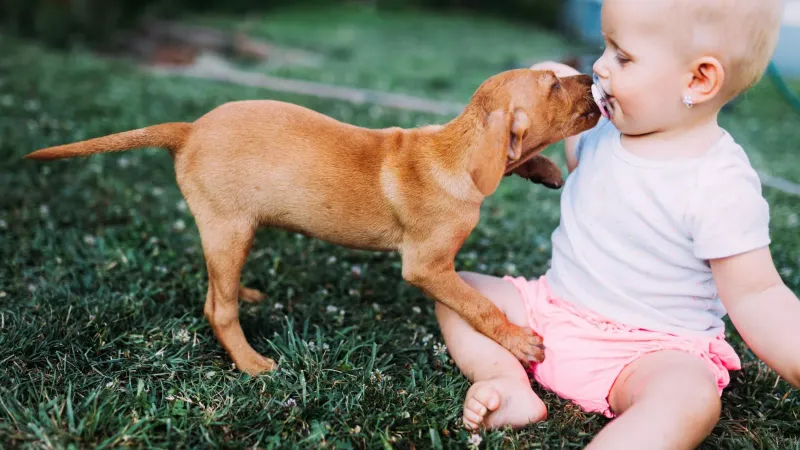 Nurturing Noses