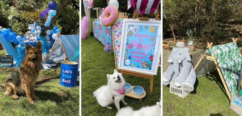 Host a Dog Party