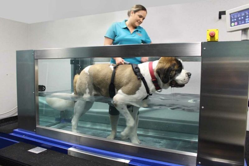 Hydrotherapy Sessions
