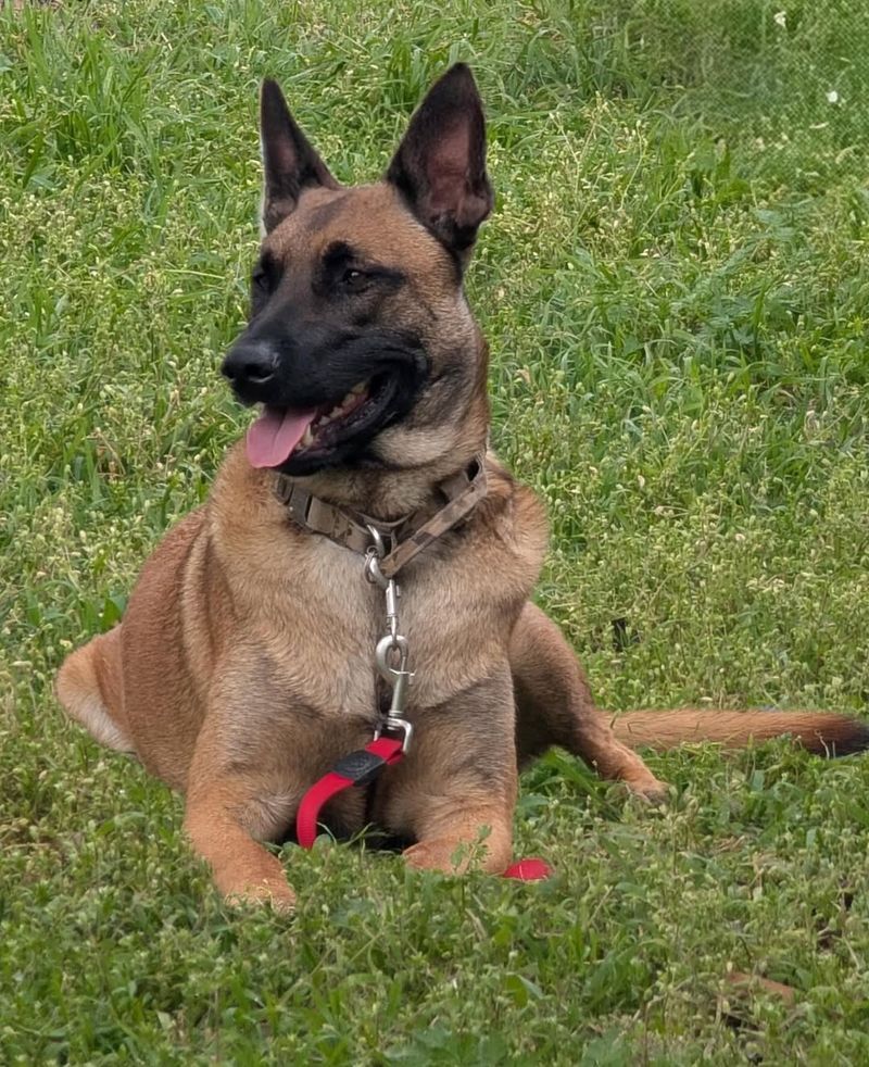 Providing Safety and Security